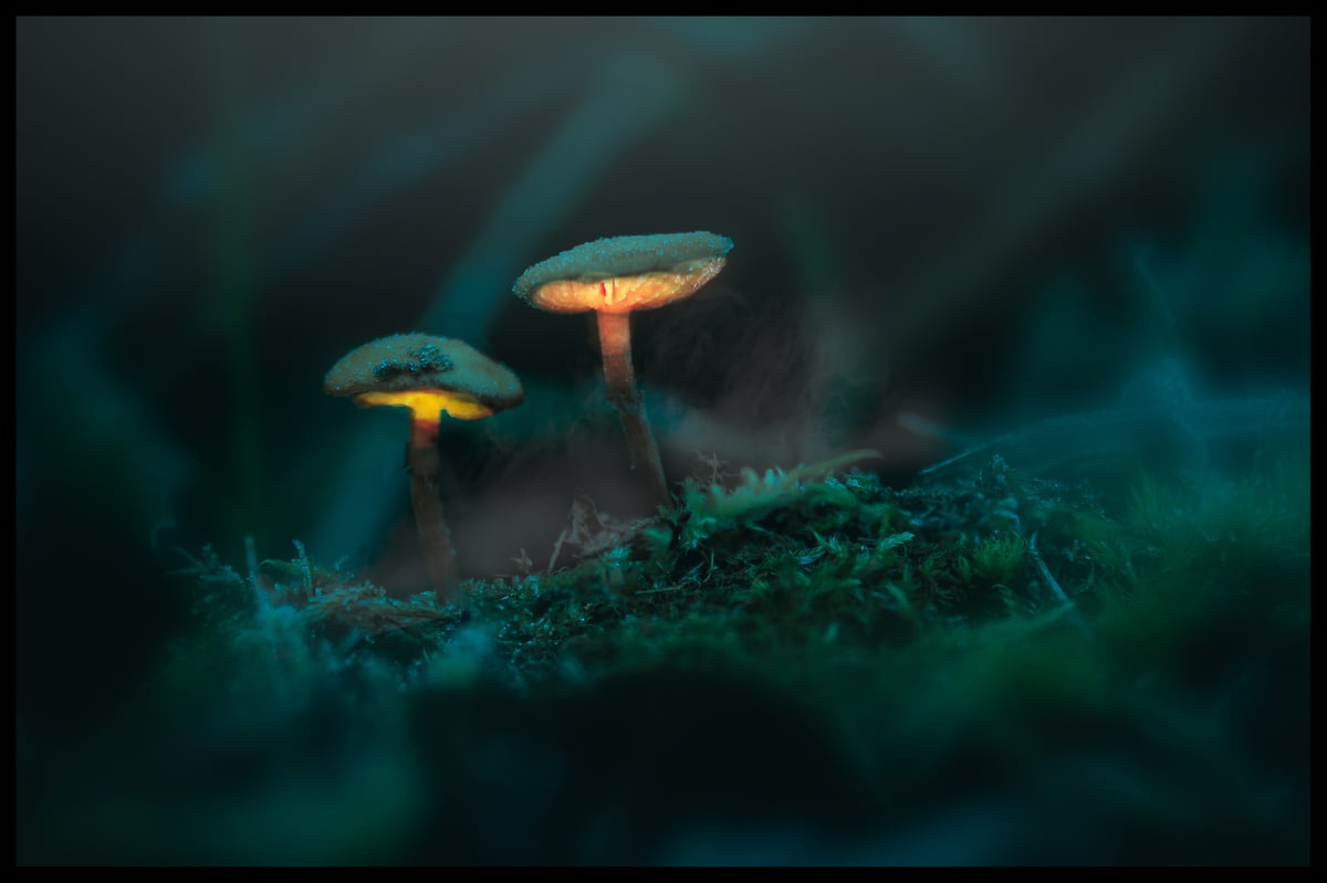 _MG_1863-Editar